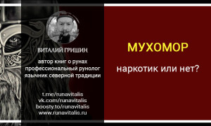 Является ли мухомор наркотиком?