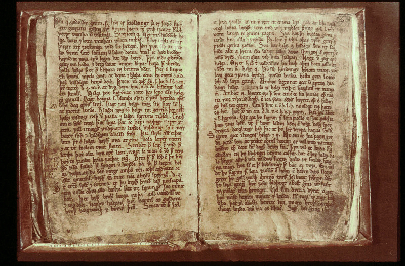 Codex Regius королевский кодекс старшая эдда